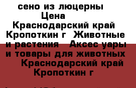 сено из люцерны  › Цена ­ 50 - Краснодарский край, Кропоткин г. Животные и растения » Аксесcуары и товары для животных   . Краснодарский край,Кропоткин г.